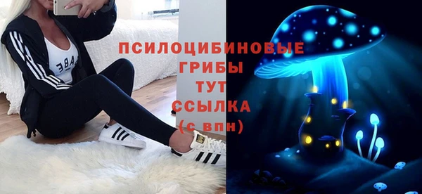 spice Переславль-Залесский
