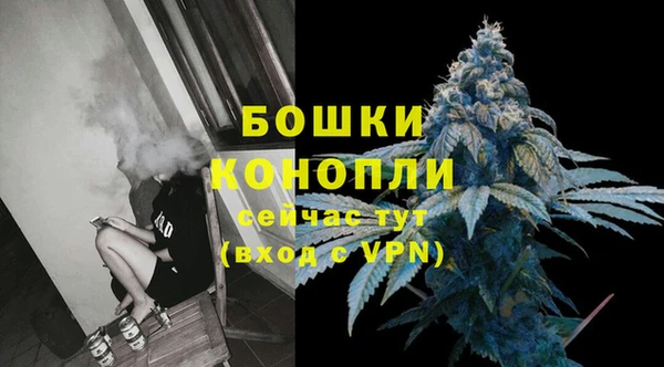 дмт Пестово