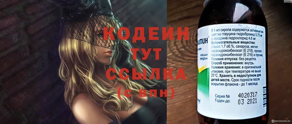 дмт Пестово