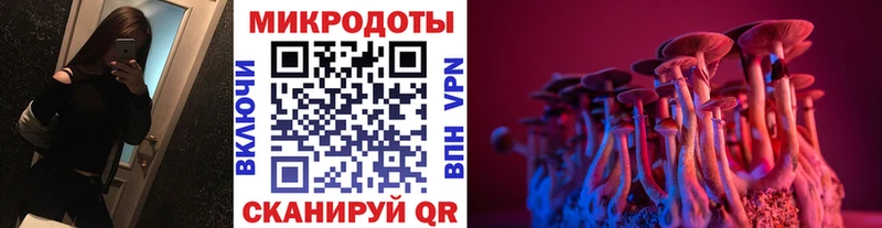 где купить   Светлый  Псилоцибиновые грибы GOLDEN TEACHER 